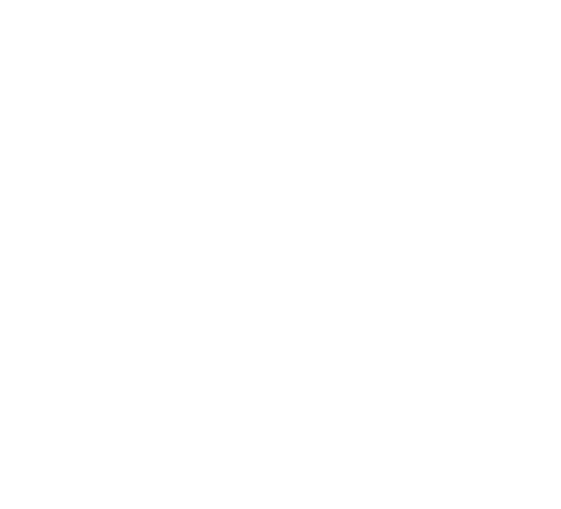 AMC TAG core values icon