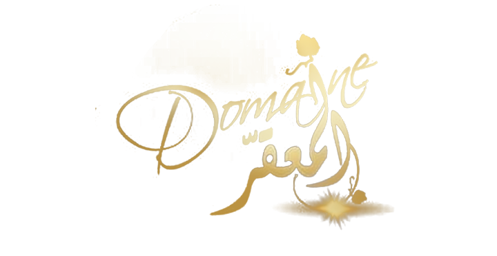 Lebanon logo - AMC TAG client